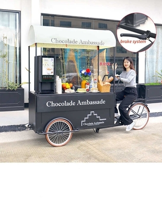 220V/380V Voltage Triciclo Camión de comida móvil para carro de helados de calle de diseño