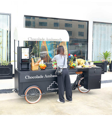 Hortalizas Materia prima Carro de helados comercial Cooler Triciclo Congelador Carro de bicicletas