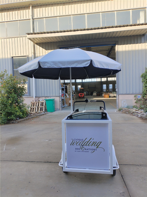 Snack Food Ice Cream Push Cart Triciclo Equipo de cocina personalizado con ruedas