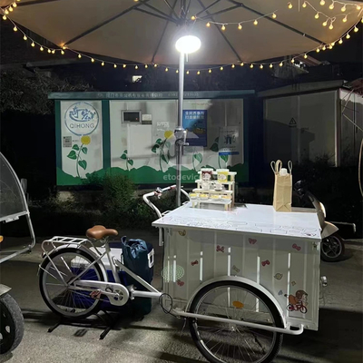 Capacidad de 200 kg Color personalizado Carrito de comida rápida Bicicleta Camión de helados de comida eléctrica