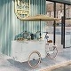 Capacidad de 200 kg Color personalizado Carrito de comida rápida Bicicleta Camión de helados de comida eléctrica