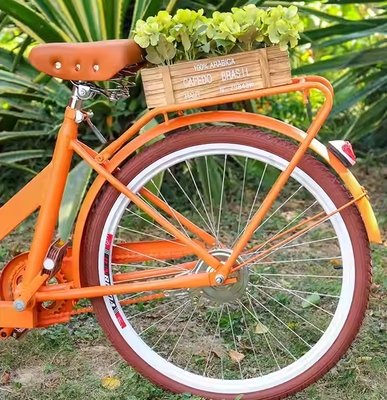 Australia Scooter Food Cart Triciclo con material de soja y tamaño compacto