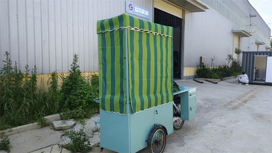 Cocina completa Comida eléctrica helado camión triciclo para carga Su elección perfecta