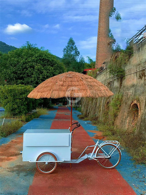 3 ruedas helado bicicleta triciclo carro de comida móvil con cualquier selección de variación de color