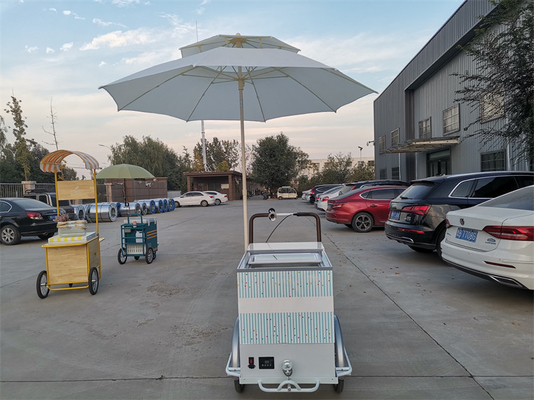 Carro de remolque de bicicleta de 220V/380V para vender helados y frutas frescas