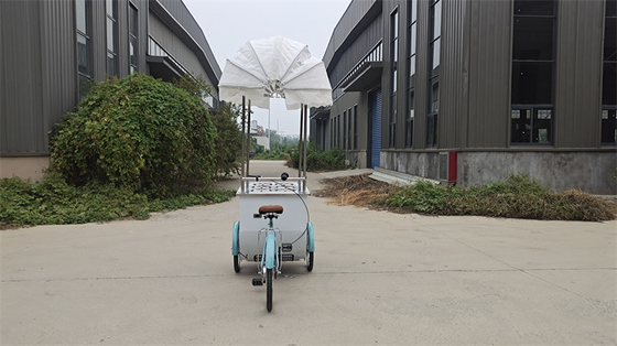Bicicleta congeladora de suministro directo para helados de color personalizado camiones móviles de comida