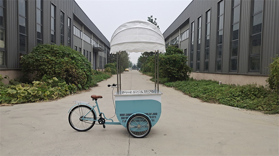 Bicicleta congeladora de suministro directo para helados de color personalizado camiones móviles de comida