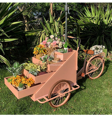 Planta de procesamiento de verduras carro de bicicleta móvil de café con L200.00cm*W95.00cm*H110.00cm