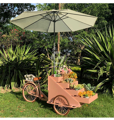 Planta de procesamiento de verduras carro de bicicleta móvil de café con L200.00cm*W95.00cm*H110.00cm