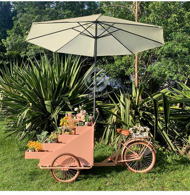 Planta de procesamiento de verduras carro de bicicleta móvil de café con L200.00cm*W95.00cm*H110.00cm