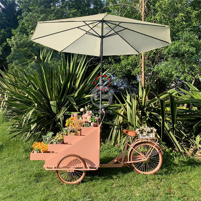 Ocio Equipo de comida rápida Bicicleta de comida camión de venta con personalización aceptable 80kg