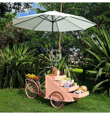 Ocio Equipo de comida rápida Bicicleta de comida camión de venta con personalización aceptable 80kg