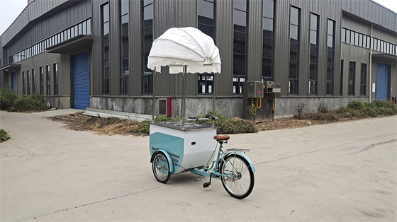 Triciclo eléctrico de 3 ruedas Carro móvil para helados Pedal de café congelador Entrega de bicicletas
