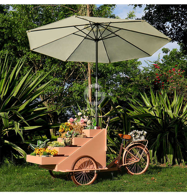 Carrito de comida al aire libre con materia prima de soja y bicicleta de carga eléctrica de tres ruedas