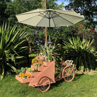 Carrito de comida al aire libre con materia prima de soja y bicicleta de carga eléctrica de tres ruedas
