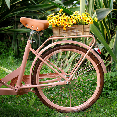 Carrito de comida al aire libre con materia prima de soja y bicicleta de carga eléctrica de tres ruedas
