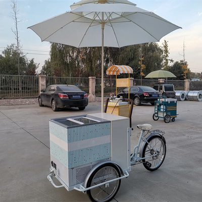 Bicicleta de helados clásica de 100 kg, remolque de comida rápida, camión triciclo para planta de condimentos