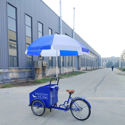 Hortalizas personalizables Bicicleta eléctrica de comida para venta de comida callejera y carrito de cigarrillos
