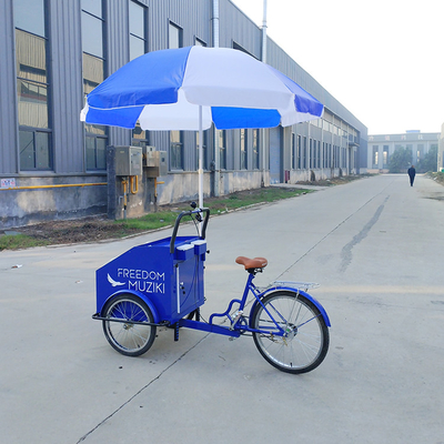 Capacidad de carga de 70 kg Pedal eléctrico Carrito de bicicleta de tres ruedas con servicio personalizado