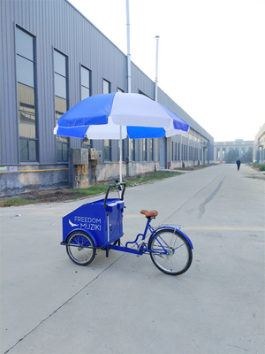 Capacidad de carga de 70 kg Pedal eléctrico Carrito de bicicleta de tres ruedas con servicio personalizado