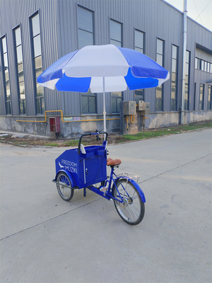 Capacidad de carga de 70 kg Pedal eléctrico Carrito de bicicleta de tres ruedas con servicio personalizado