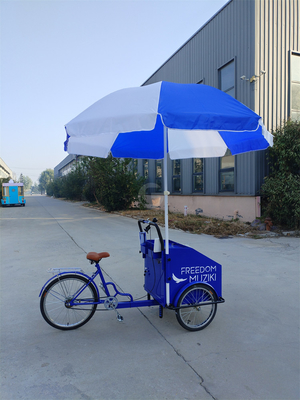 Capacidad de carga de 70 kg Pedal eléctrico Carrito de bicicleta de tres ruedas con servicio personalizado