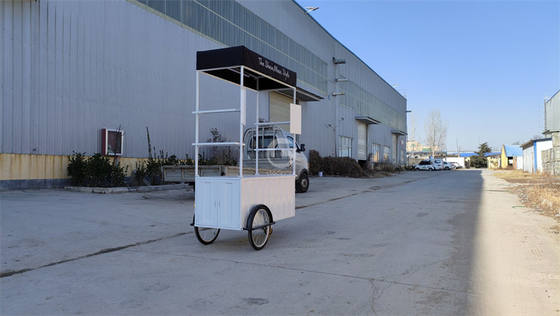 110v/220v Voltado de comida rápida al aire libre Quiosco de helados Bicicleta para venta de bocadillos al aire libre