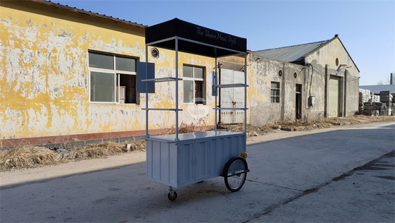 110v/220v Voltado de comida rápida al aire libre Quiosco de helados Bicicleta para venta de bocadillos al aire libre