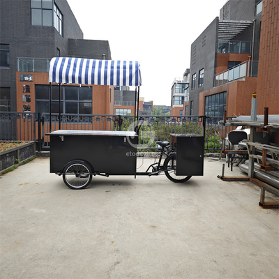 Café Vendedor eléctrico Triciclo congelador Bicicleta de negocios Carritos de helados Bicicleta 120KG