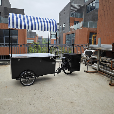 Café Vendedor eléctrico Triciclo congelador Bicicleta de negocios Carritos de helados Bicicleta 120KG