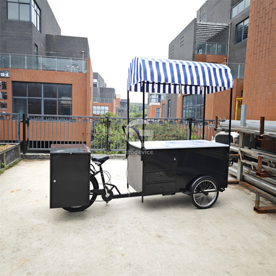 Café Vendedor eléctrico Triciclo congelador Bicicleta de negocios Carritos de helados Bicicleta 120KG