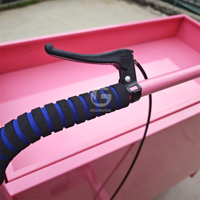 Bicicleta eléctrica de pan personalizada triciclo móvil OEM para verduras y frutas en conservas