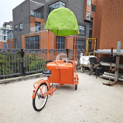 Europe Street Cargo Bike Carro de venta móvil con almacenamiento de café Triciclo eléctrico