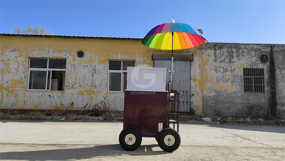 220v/110v Camión móvil para helados Convenio frigorífico congelador en la planta de condimentos