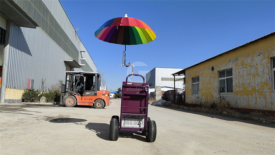 Camioneta de exhibición pequeña con función de enfriador carro de remolque personalizado en cualquier color