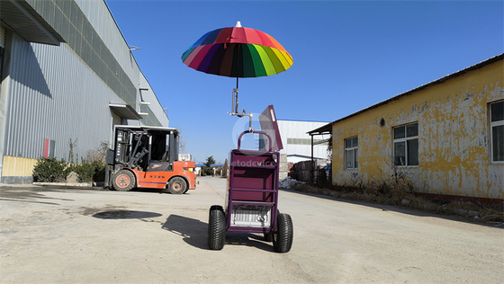 Camioneta de exhibición pequeña con función de enfriador carro de remolque personalizado en cualquier color