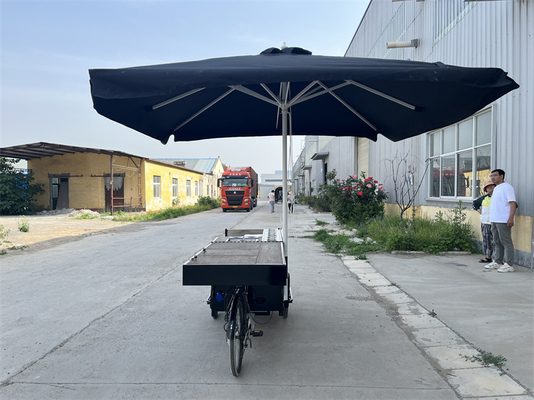 Triciclo de comida rápida móvil plegable personalizado para la venta de bocadillos de carga estándar de la UE