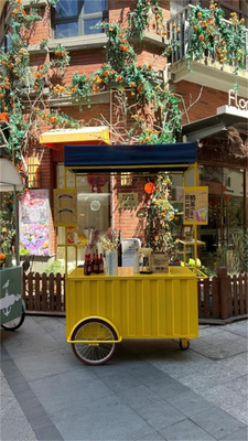 Triciclo ligero y duradero para entrega de alimentos multifuncional