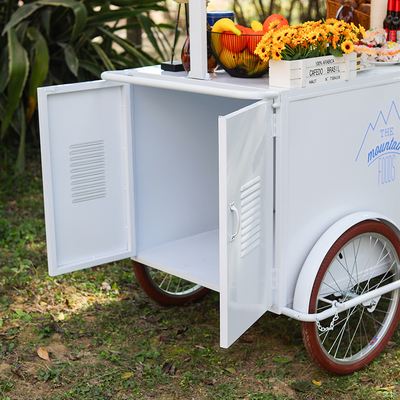 Nuevo diseño de helados de mano para postres congelados