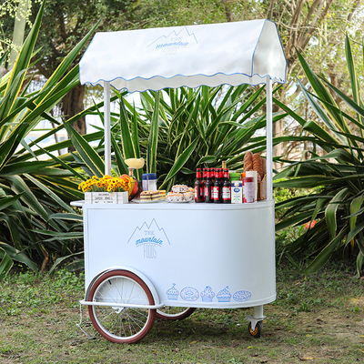 Nuevo diseño de helados de mano para postres congelados
