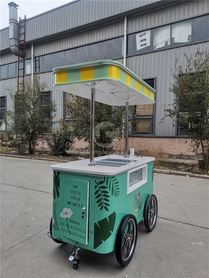 Comerciante Mini Exhibición de helados congelados Carrito de remolque de helados de playa mexicana helados congelador Carrito de mano Carritos de empuje para helados