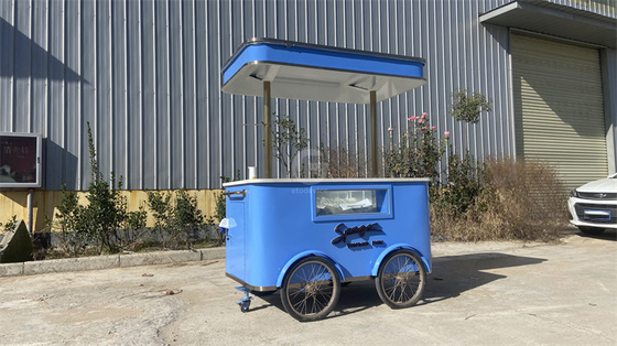 Gastronomía móvil revelada explorando el mundo de los carritos de comida en triciclos