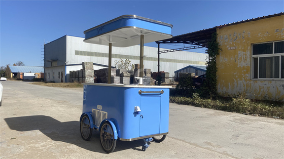 Gastronomía móvil revelada explorando el mundo de los carritos de comida en triciclos