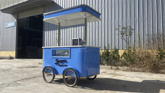 Gastronomía móvil revelada explorando el mundo de los carritos de comida en triciclos