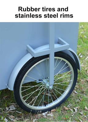 Bicicleta de carga de 3 ruedas personalizada de mano de carrito de empuje de comida de la calle Bicicleta de entrega de alimentos con pantalla congelador para la venta