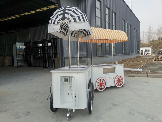 Carro de helados de playa Carro de helados con exhibición de refrigerador