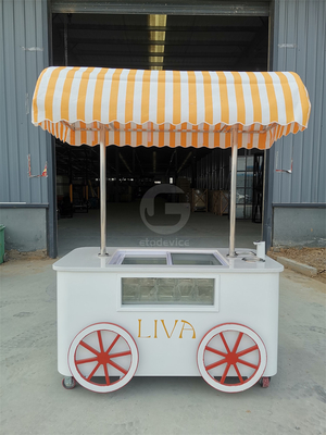 Carro de helados de playa Carro de helados con exhibición de refrigerador