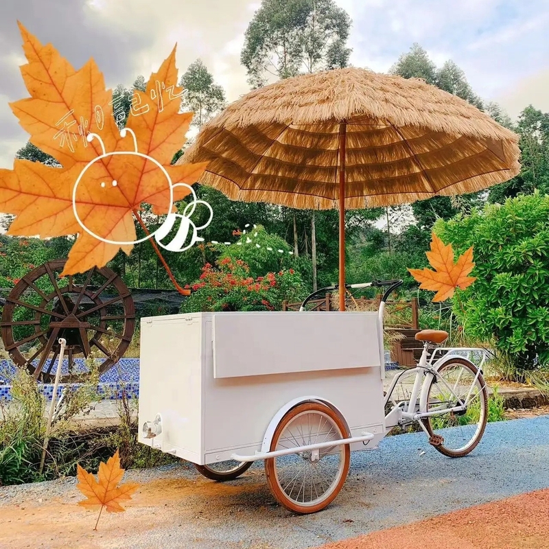 Carritos móviles de comida para bicicletas Bicicletas para frutos secos Carritos de comida con bocadillos y Carritos móviles de perritos calientes