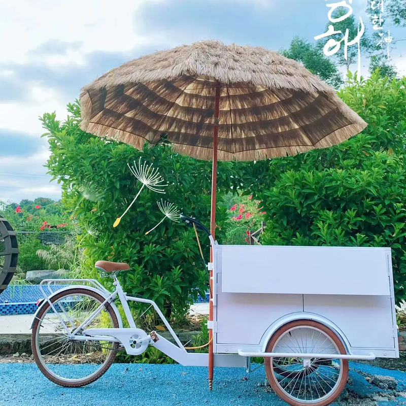 Bicicleta de café retro de 100 kg para la calle Trike de la tienda de café móvil Bicicleta del carrito de comida rápida