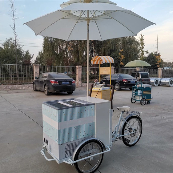 Bicicleta de helados clásica de 100 kg, remolque de comida rápida, camión triciclo para planta de condimentos